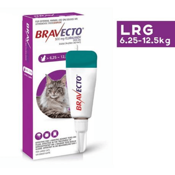 Bravecto Tick & Flea Spot On for Cats - Large