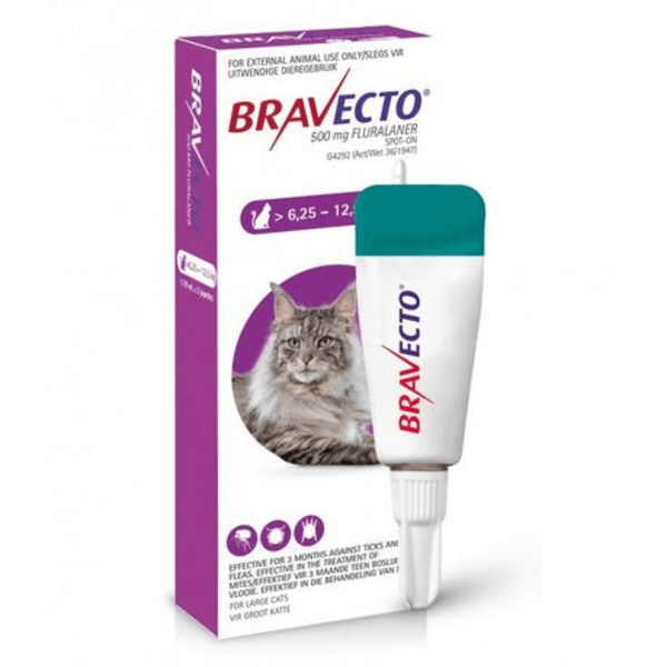 Bravecto Spot-On Cat Large - 1'S