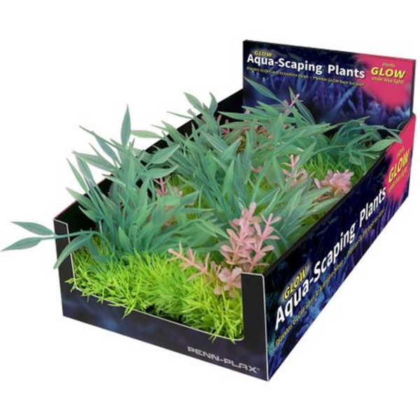 Penn-Plax - Green & Pink Bunch Plant 5 Pack
