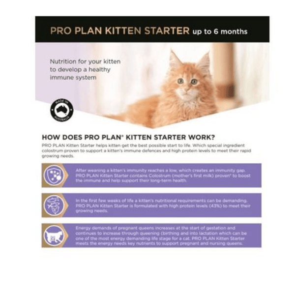 Pro Plan Kitten Starter Food - Salmon & Tuna Formula