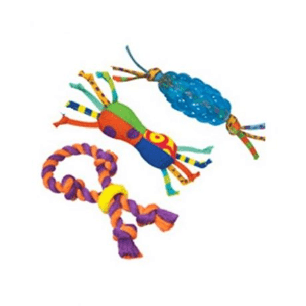 Mini Chew Starter Kit