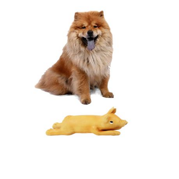 Latex Pig Dog Toy