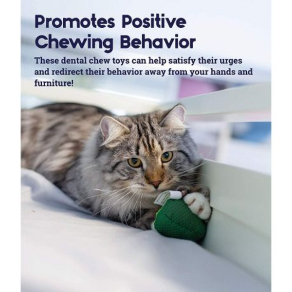 Petstages - Dental Avo Cat Toy