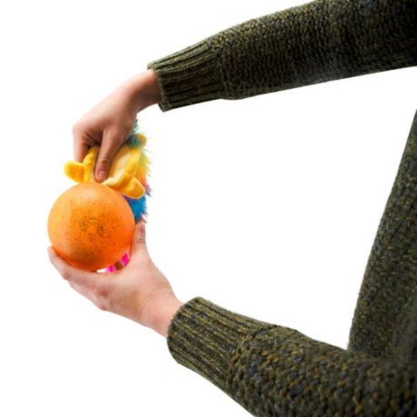 Outward Hound - Surprise Tailz